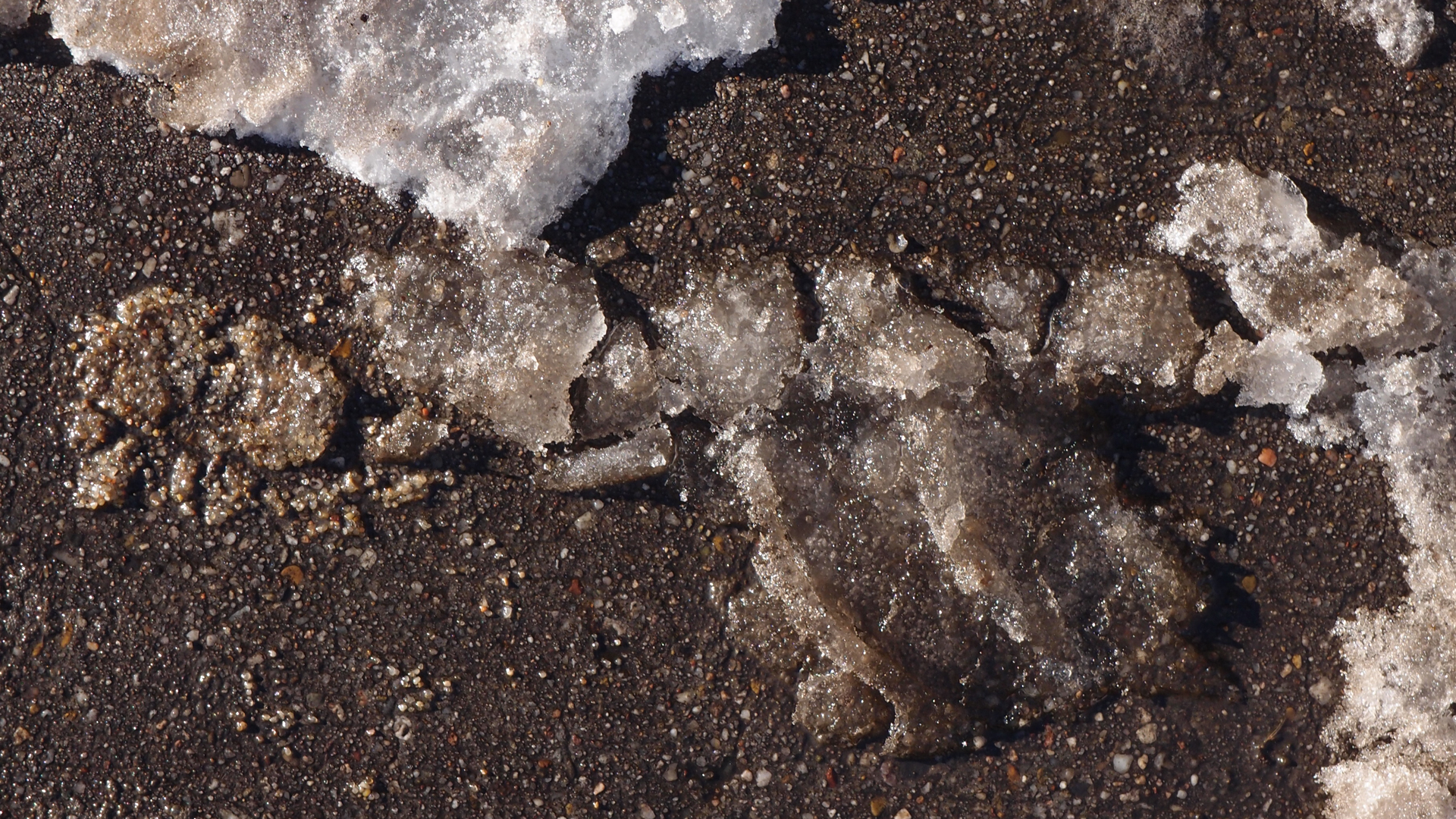 2021-01-30 Wasser in der Sple II, On-Off (Remix John Cage 'Sonatas & Interludes') (Komposition, Remix, Recording, Foto)